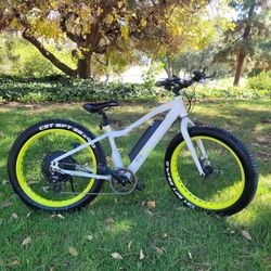 Ebike 500 watts