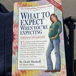 Pregnancy book