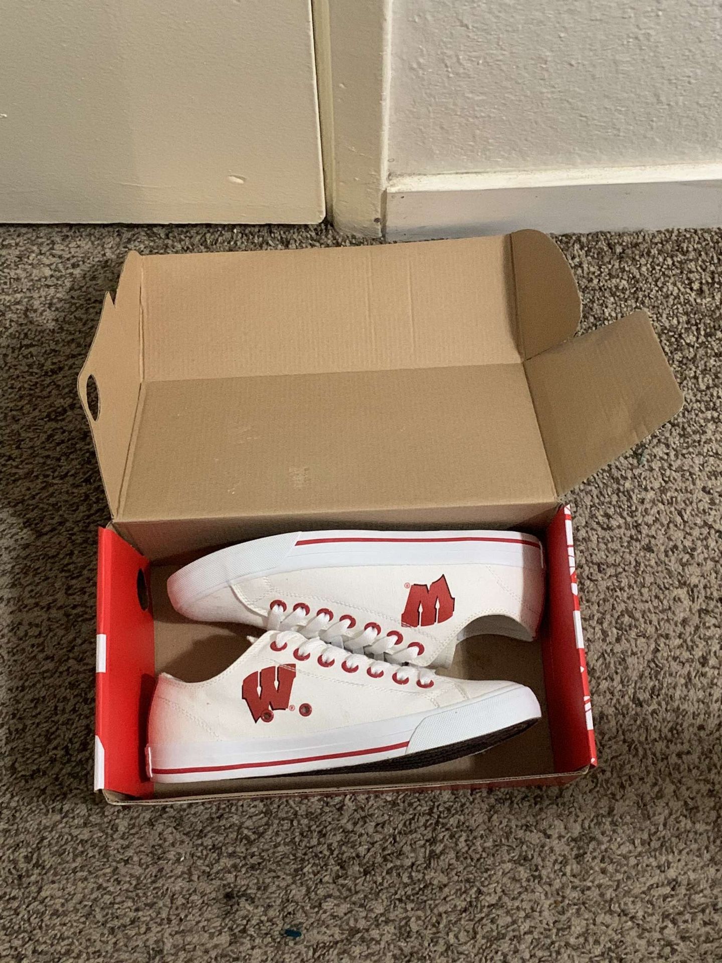 Wisconsin Badger Converse