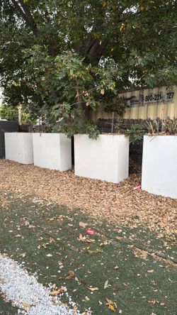 White Planters