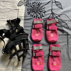 Dog Shoes & Muzzle