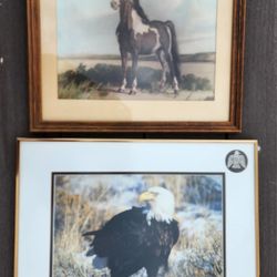 Animal Wall Art