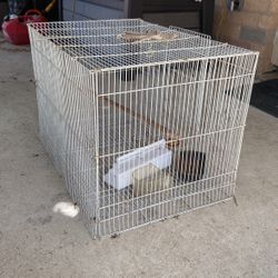 Medium White Bird cage