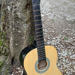 Brand New Classical Nylon String Acoustic Guitar 