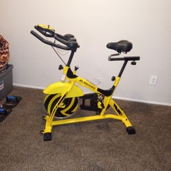 Maxkare Professional Exercise Bike