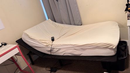 FREE twin mattress, electric bed frame and desk
