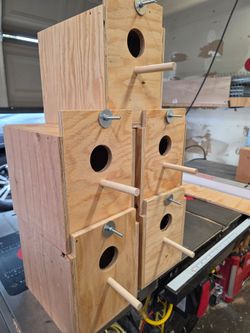 Nest boxes for lovers and parakeets