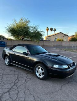 2002 Ford Mustang