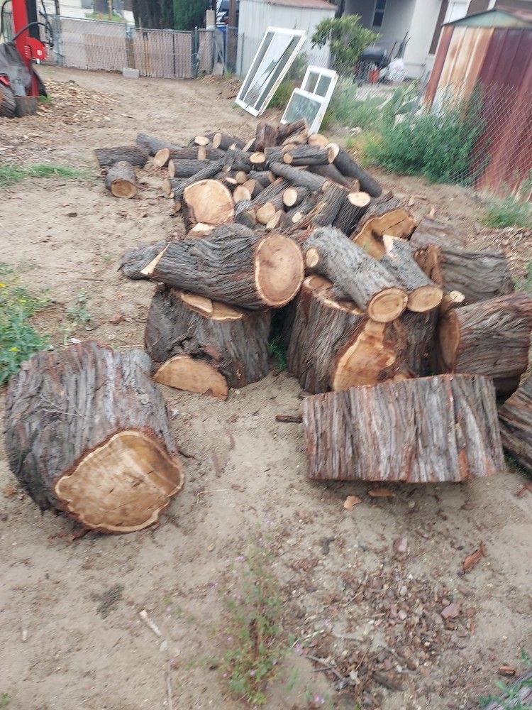 FIREWOOD!-......