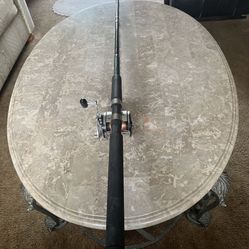 Fishing Pole And Reel