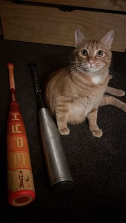 Easton Hype Fire 32 inch 27 ounce -5 baseball bat