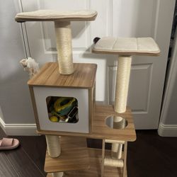 Cat Tree Brand New