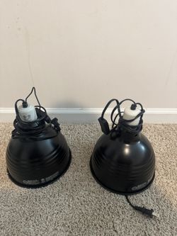 Heating Lamps 