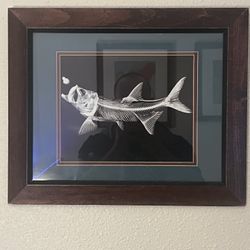 Framed Art Fishing