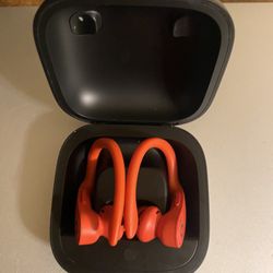 Beats True Pro Earbuds