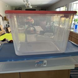 2 Storage Sterilite Storage Bins 