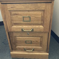 2 Oak 2 Drawer File Cabinet