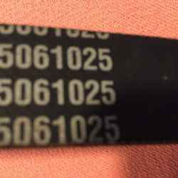 serpentine Belt