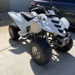 Raptor 80 2006