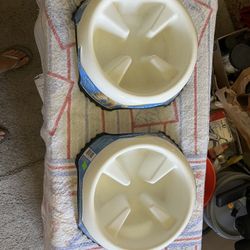 Pet Bowls 