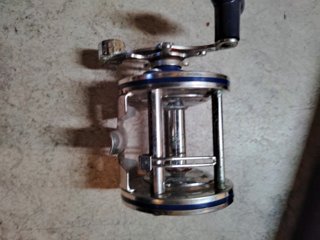 Authentic Dolphin Olympic Reel (Fishing)