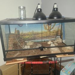 Terrarium 