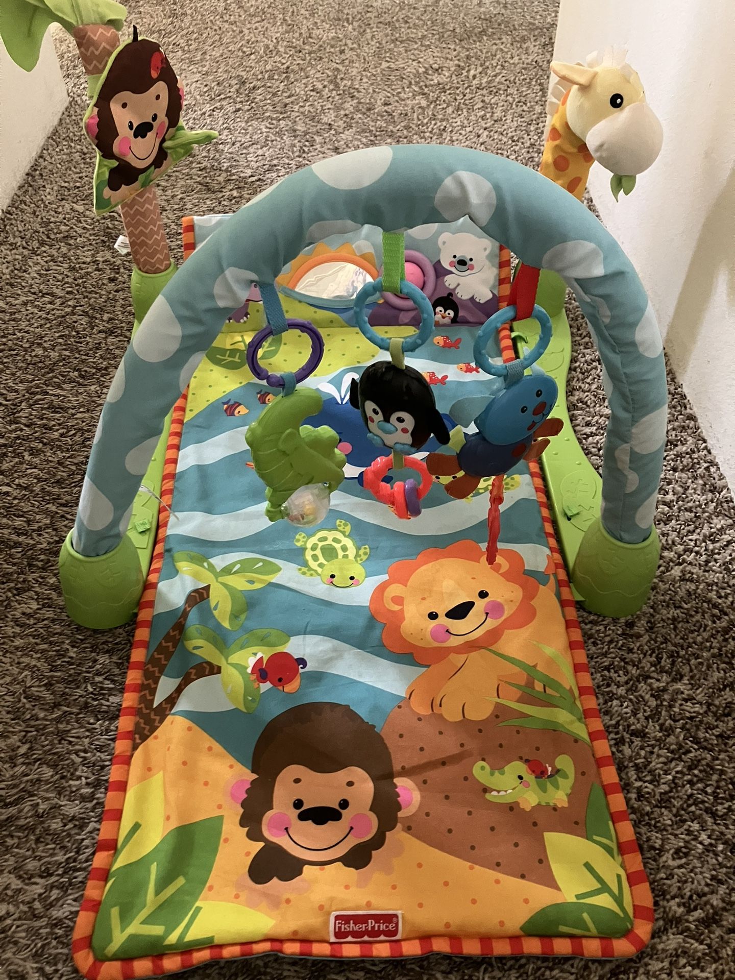 Fisher Price Infant Playing Mat
