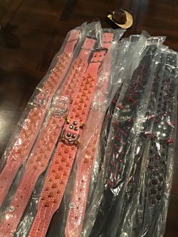 Dog Collars