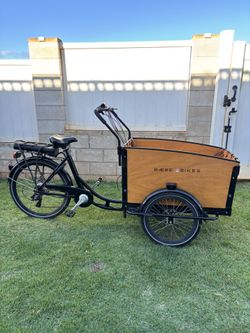Electric Cargo Bike