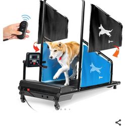 Dog Treadmill 