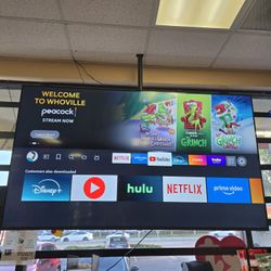 75 Inch TV + Ceiling Holder