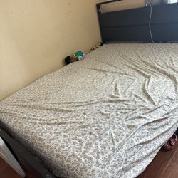 Queen Size Bed Frame