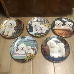 Bichons frise Set Of 5 Collectible Danbury Mint Plates