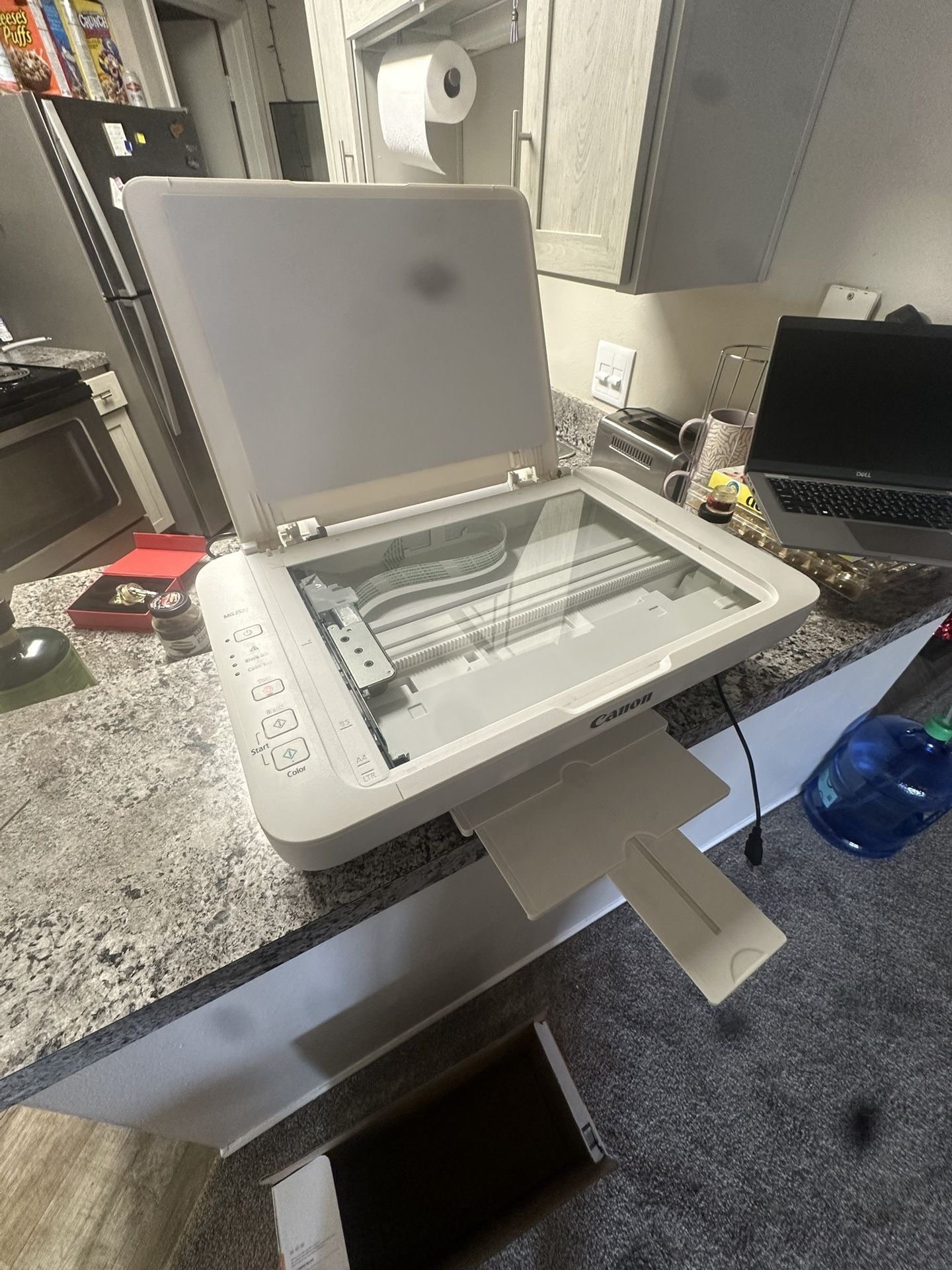 Canon Printer MG2522