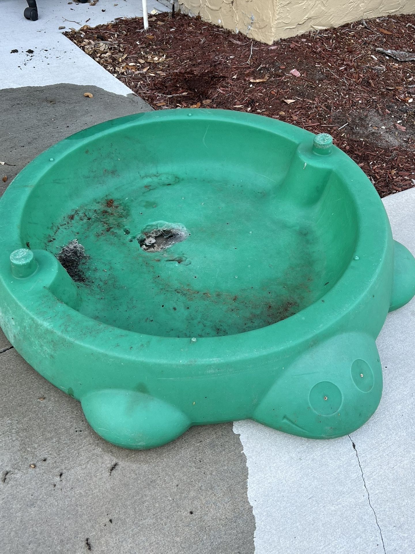 Free Turtle Shaped Sandbox