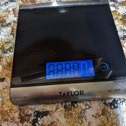 Taylor Kitchen Scale