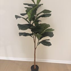 Tall Plant 