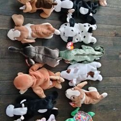 Assorted TY Beanie Babies