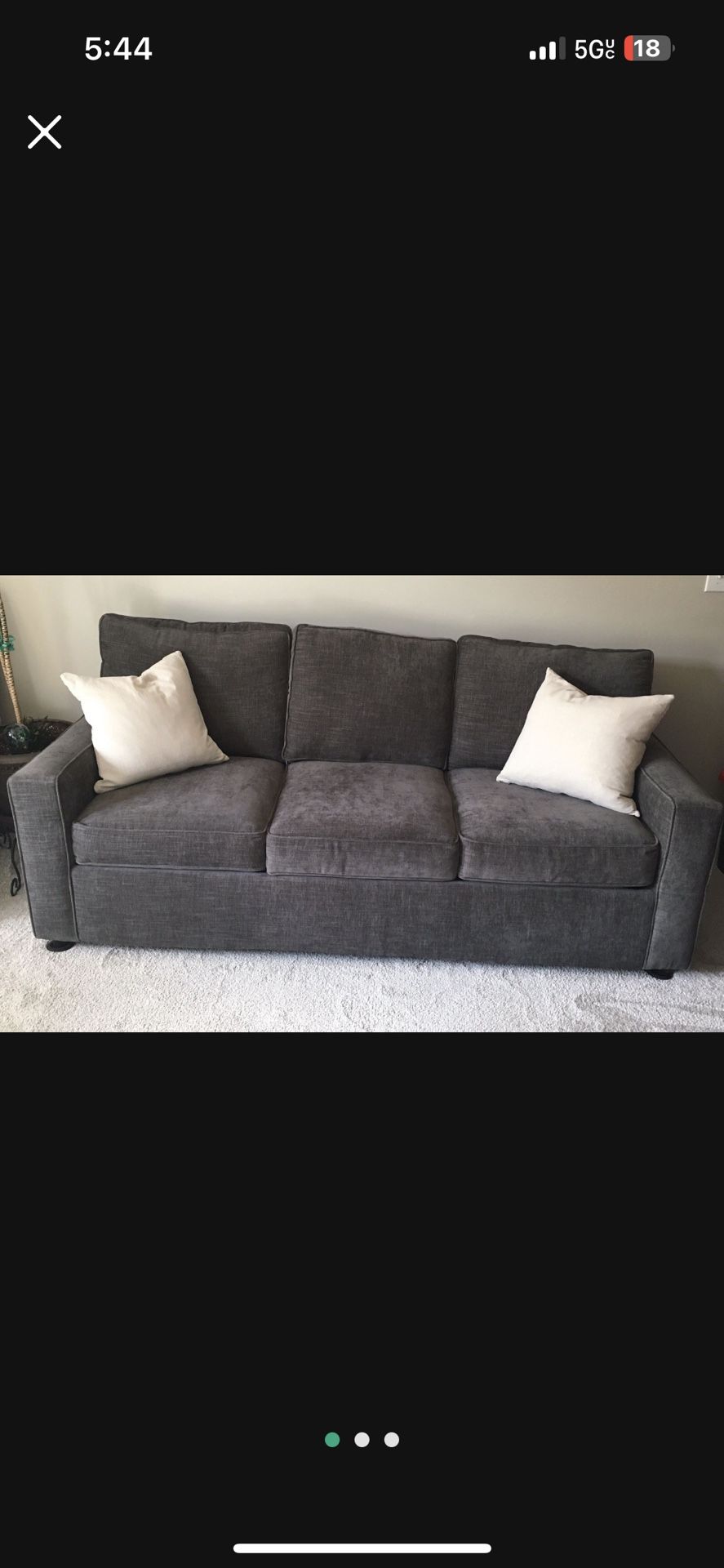 Sleeper Sofa