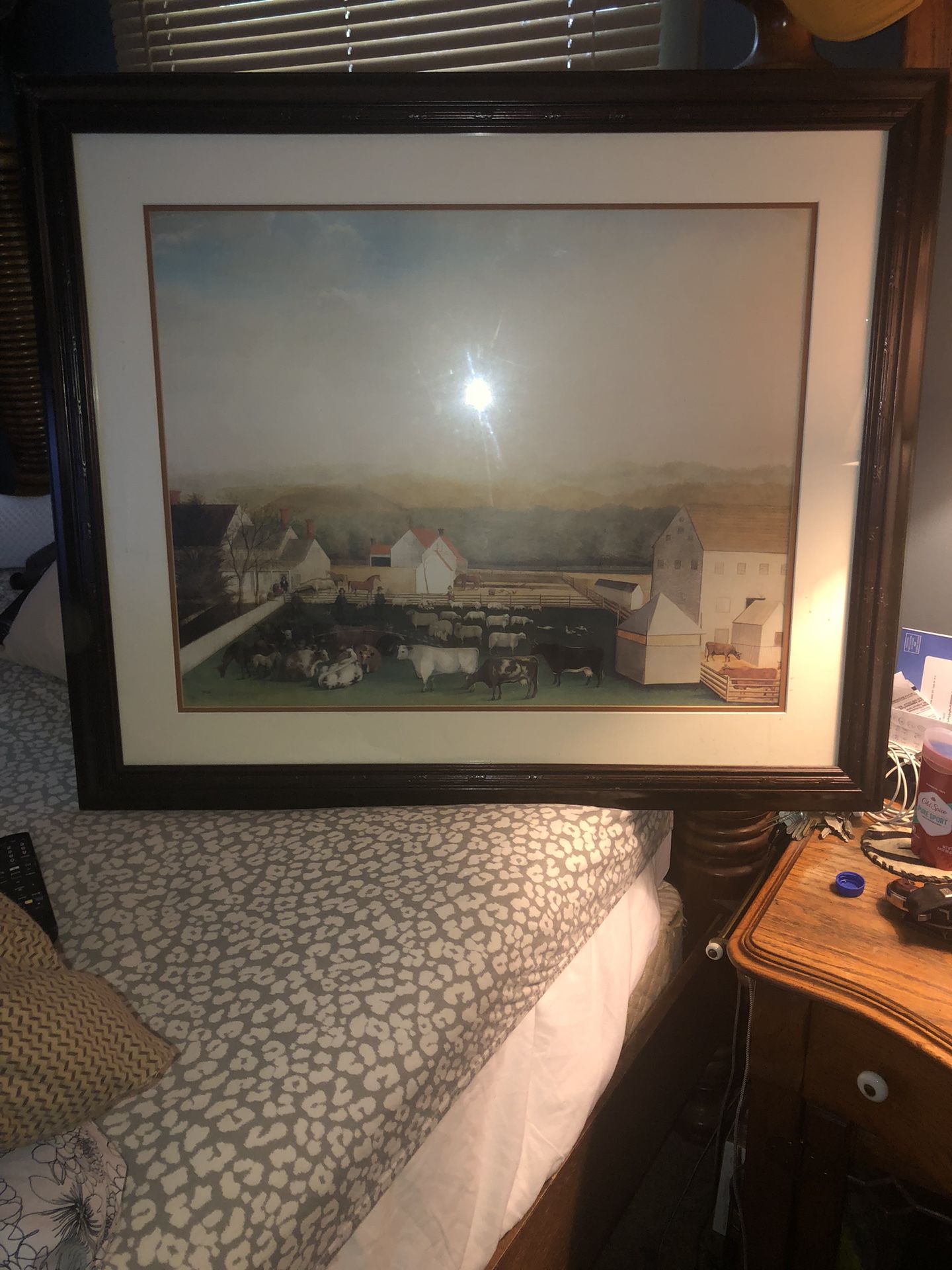 Framed Print