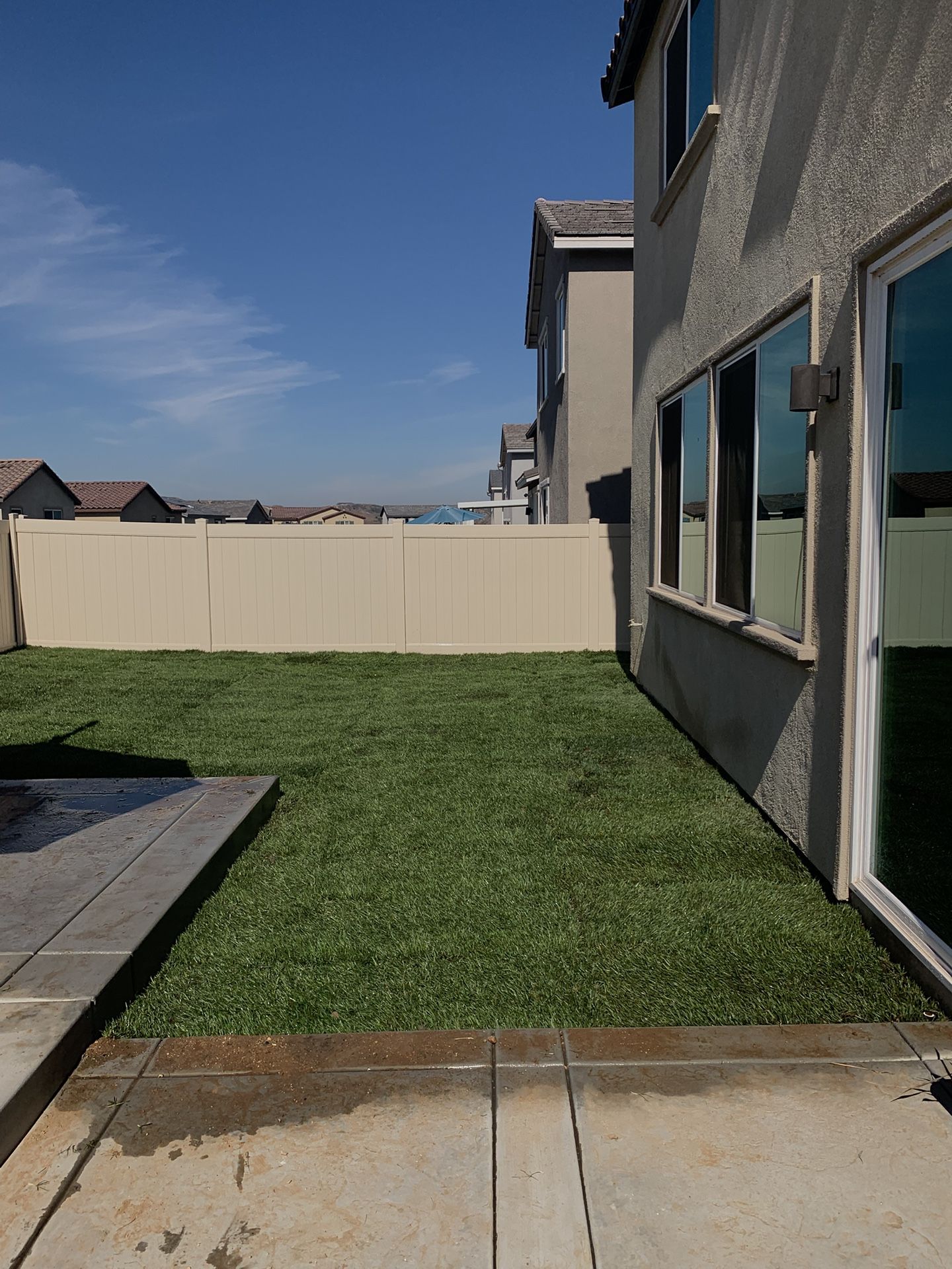Tall Fescue Grass