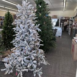 SPECIAL DISCOUNT ON ALL CHRISTMAS ITEMS IN STORE! ✨🎄