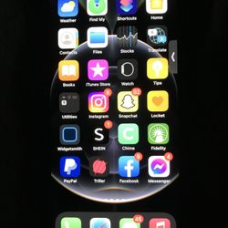 iPhone 12 Pro Max 