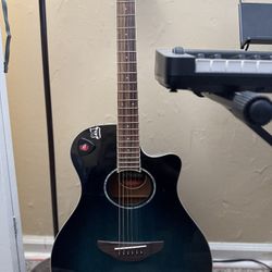 Acoustic Guitar 