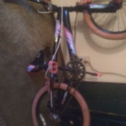 Girls Bike 