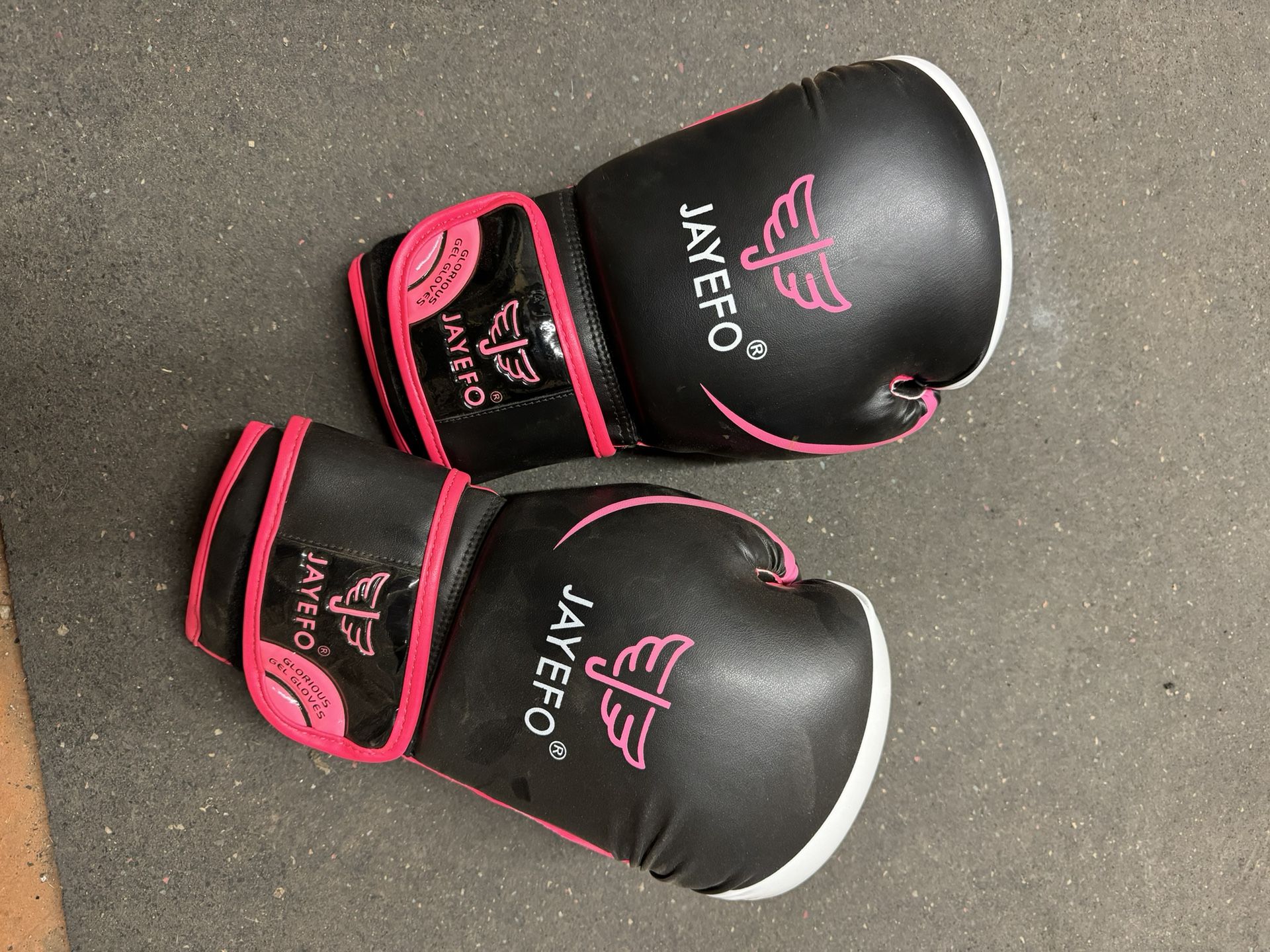 Everlast 70 Pound Punch Bag With Gloves