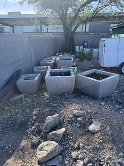 Big Plant Cement Pots