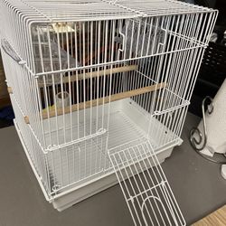 Bird Cage 