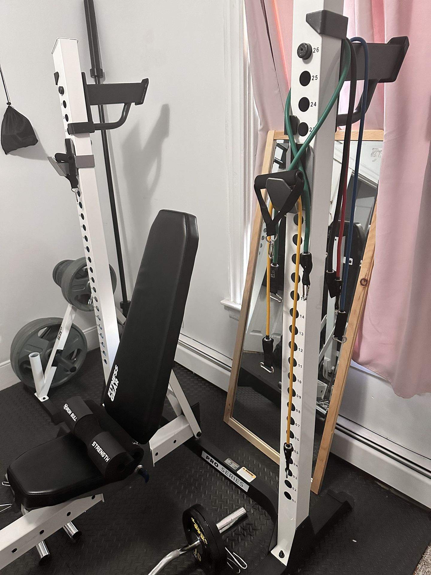 Gym  Equipment