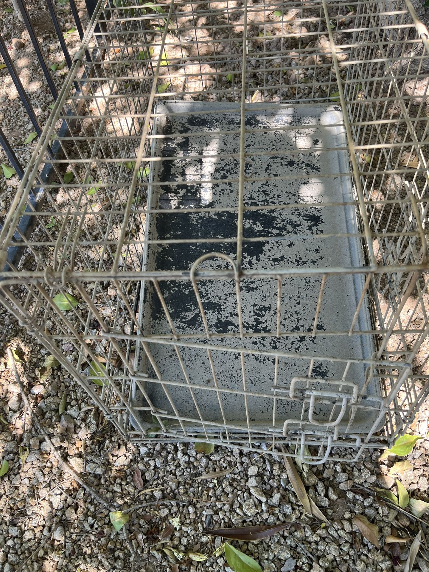 2 Dog Kennels